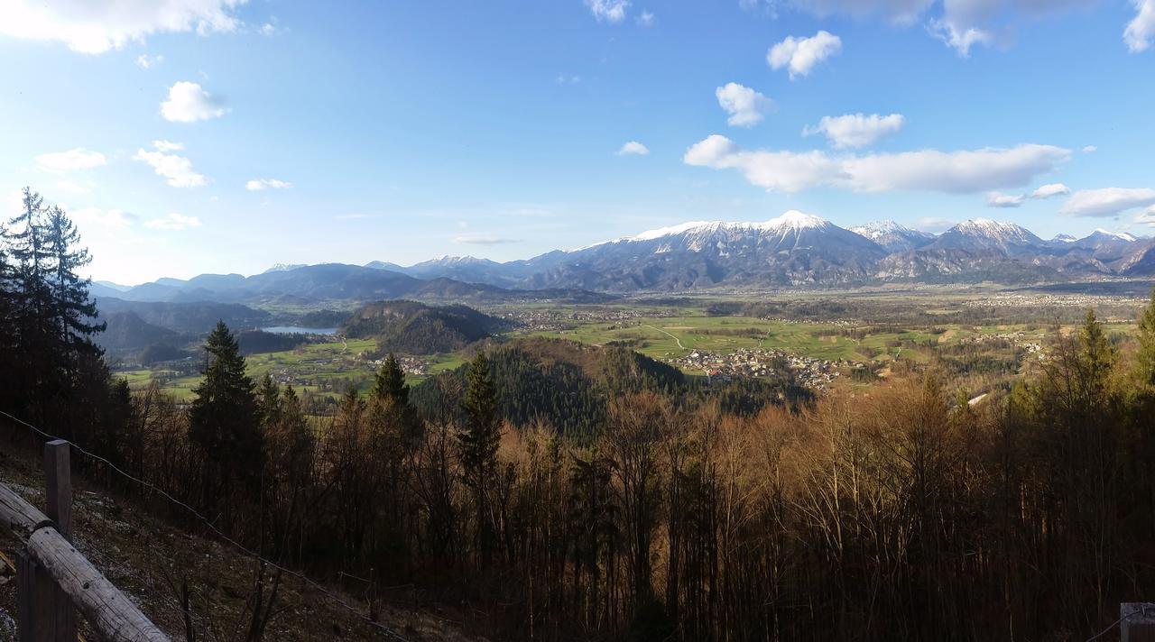 Koca Na Talezu Bed and Breakfast Ribno Zewnętrze zdjęcie