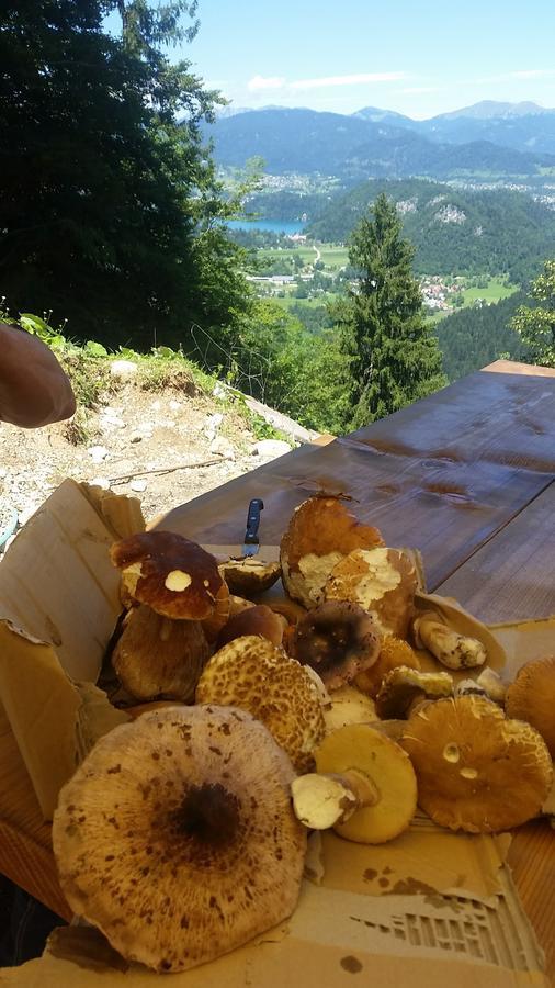 Koca Na Talezu Bed and Breakfast Ribno Zewnętrze zdjęcie