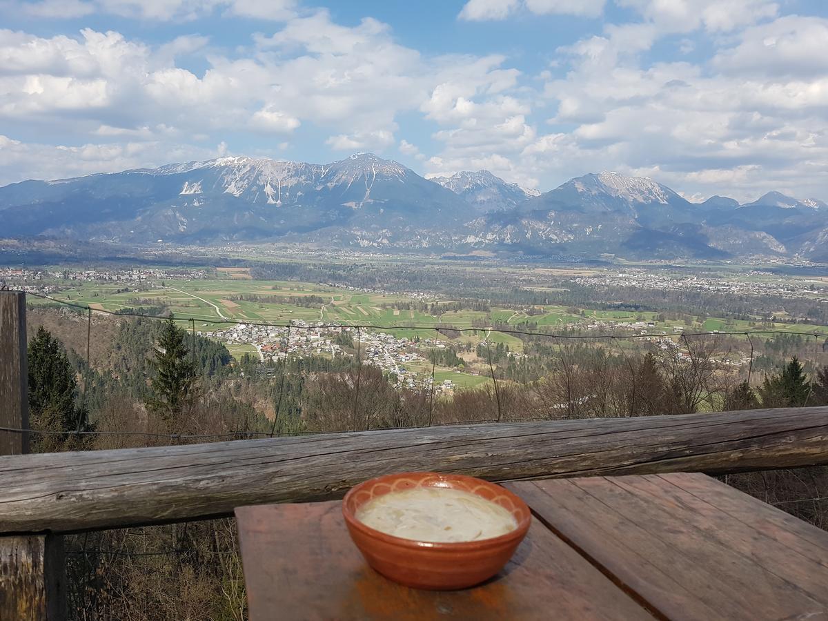 Koca Na Talezu Bed and Breakfast Ribno Zewnętrze zdjęcie
