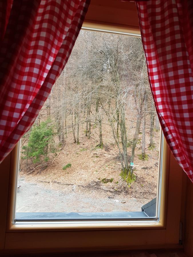 Koca Na Talezu Bed and Breakfast Ribno Zewnętrze zdjęcie